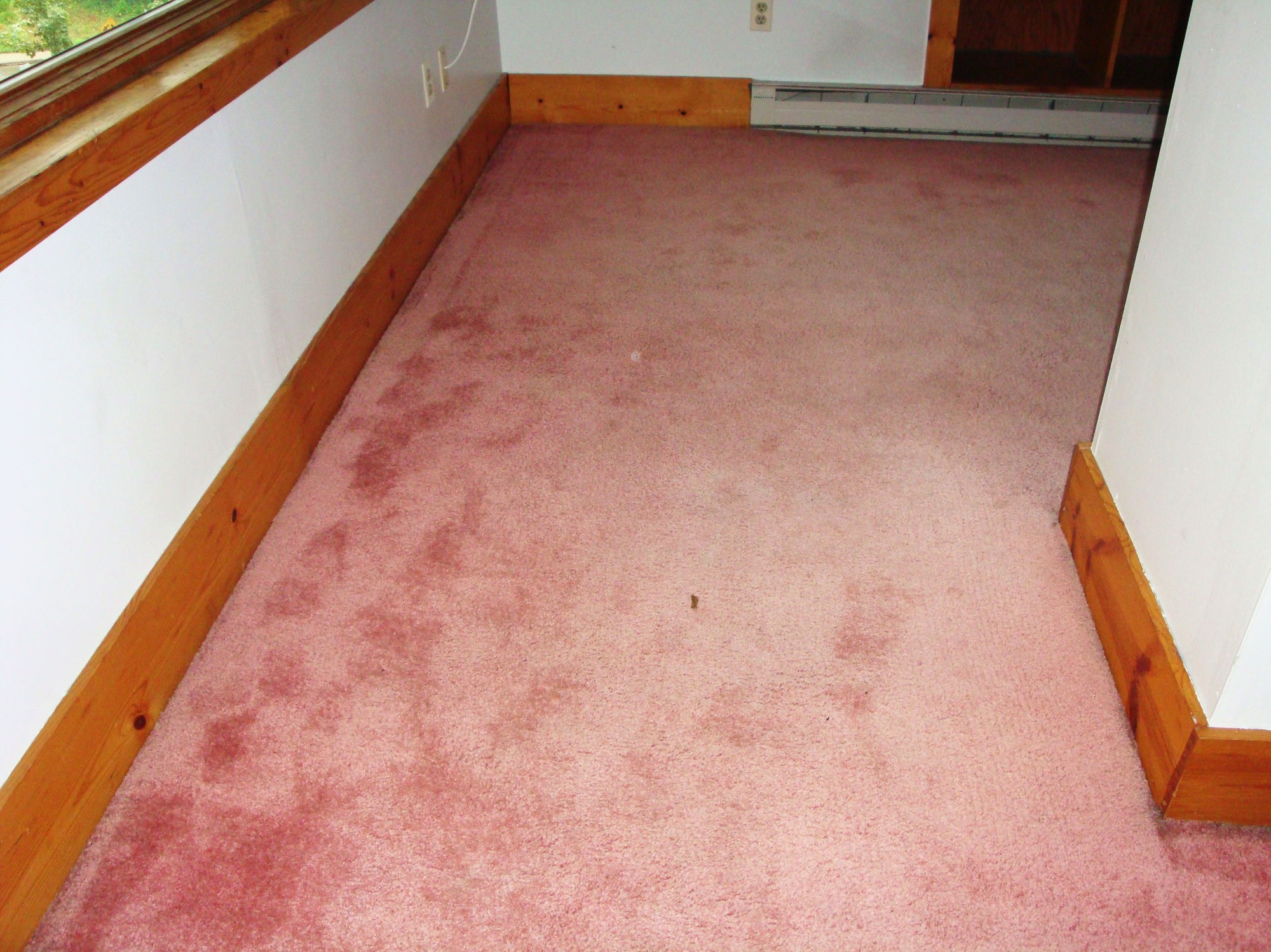 A short description about the picture goes here